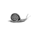 The Slow Brand Movement