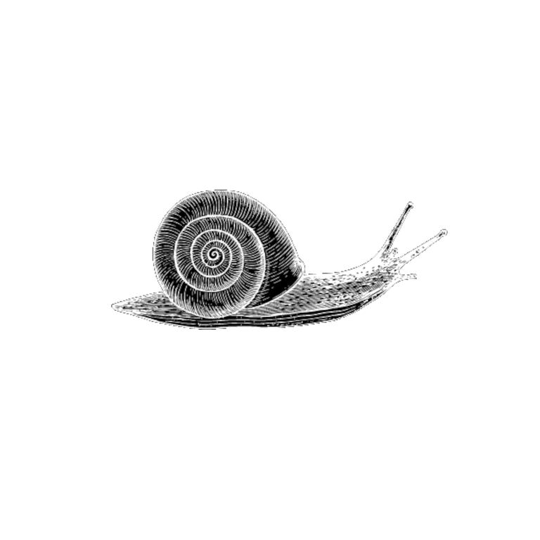 The Slow Brand Movement